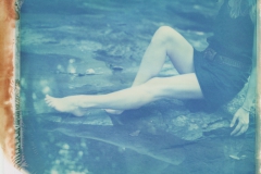 nymph