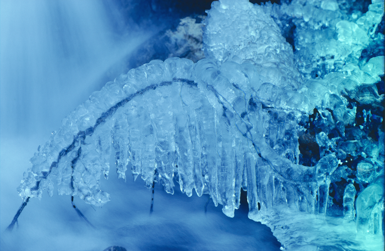 Foto: Hermann Groeneveld – FujiFilm Velvia 100 135 (Digitalisierung: Plustek OpticFim 120 / SilverFast Ai Studio 9)